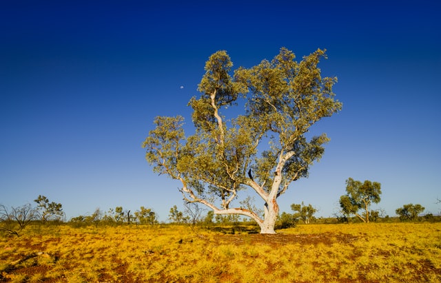 Australia Welcomes International Tourists