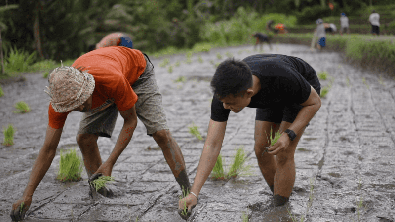 The Villagers of Manggis Transform the Future of Tourism with Kaura, Bali